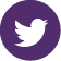 An icon with the twitter 'bird' symbol representing the start of the Twitter web link
